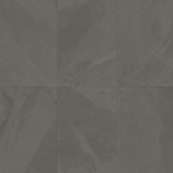 Elephant Grey