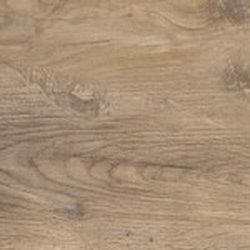 ELM